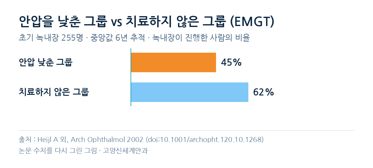 출처: Heijl A 외, Arch Ophthalmol 2002 · doi:10.1001/archopht.120.10.1268