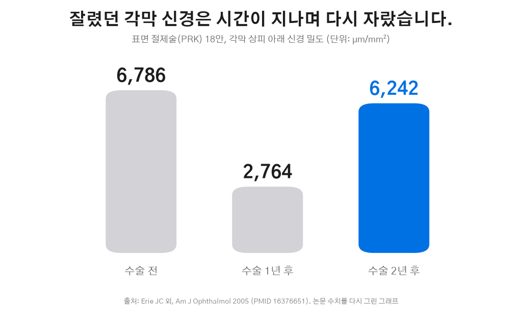 Erie 2005 표면 절제술 후 각막신경 밀도 회복 그래프