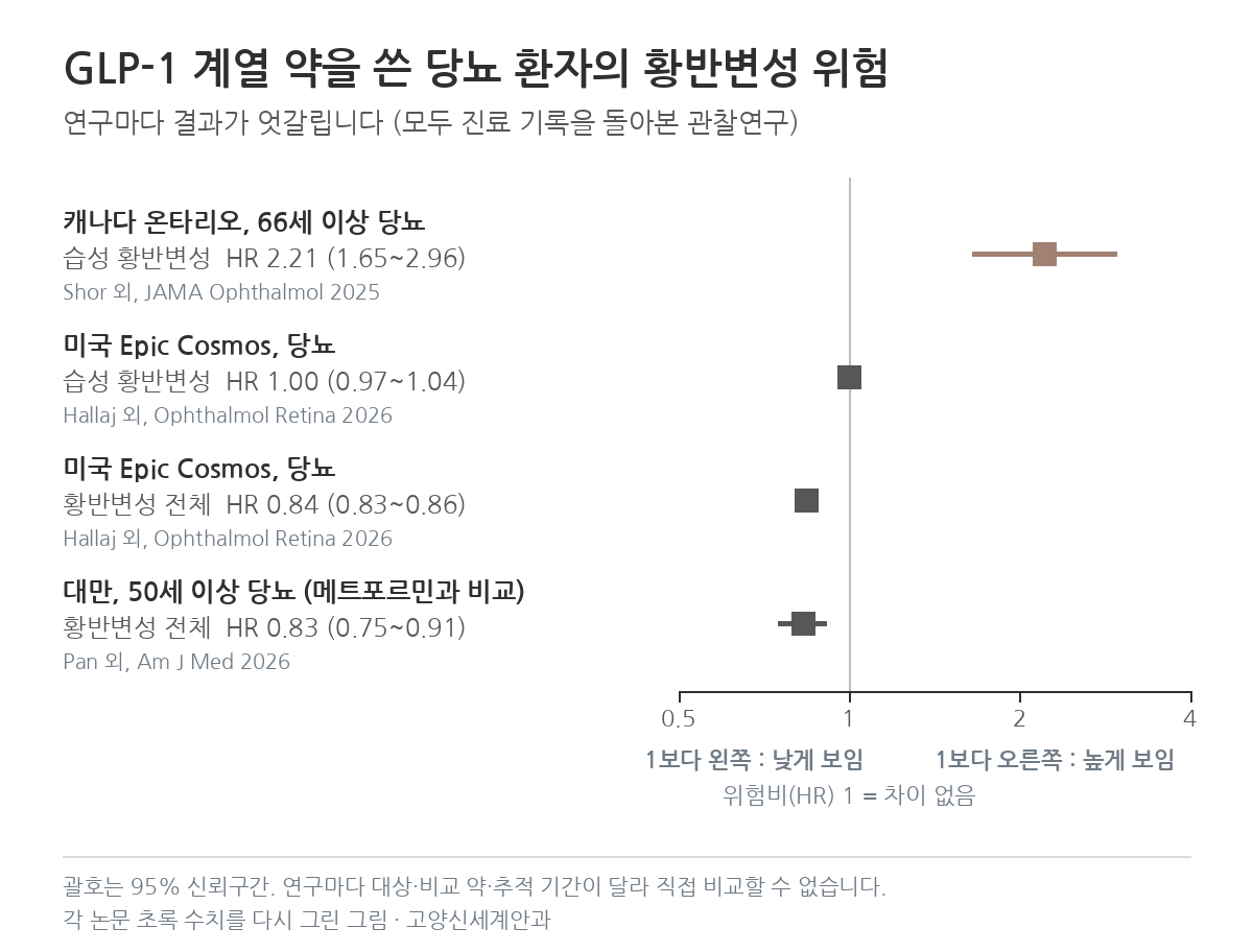 GLP-1 계열 약을 쓴 당뇨 환자의 황반변성 위험 연구마다 엇갈리는 결과 그래프