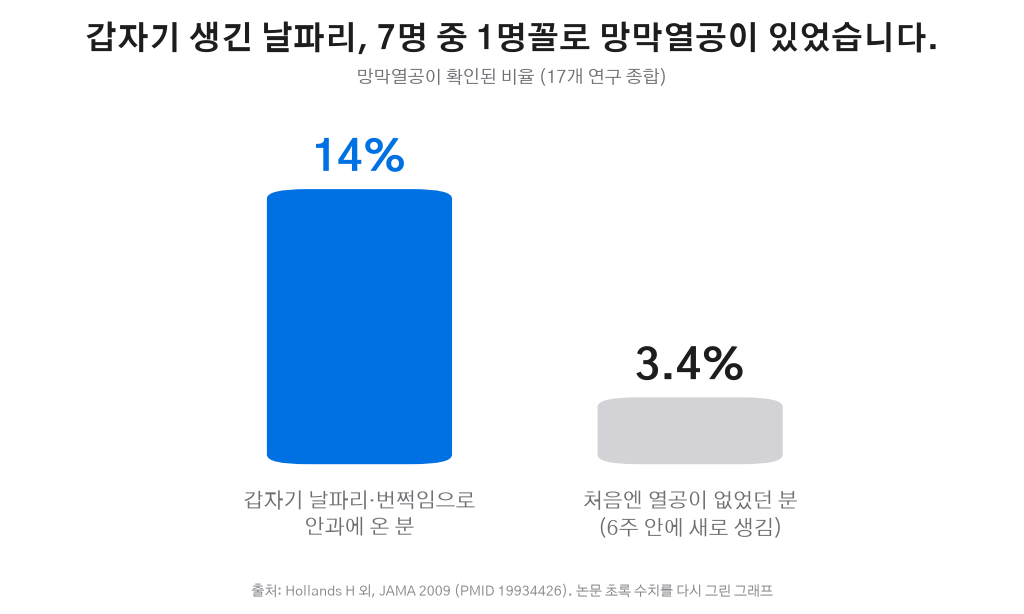 급성 비문증 환자의 망막열공 비율 그래프