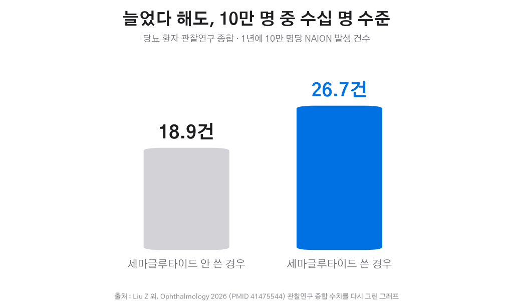 Liu 2026 관찰연구 합산 NAION 발생률 그래프