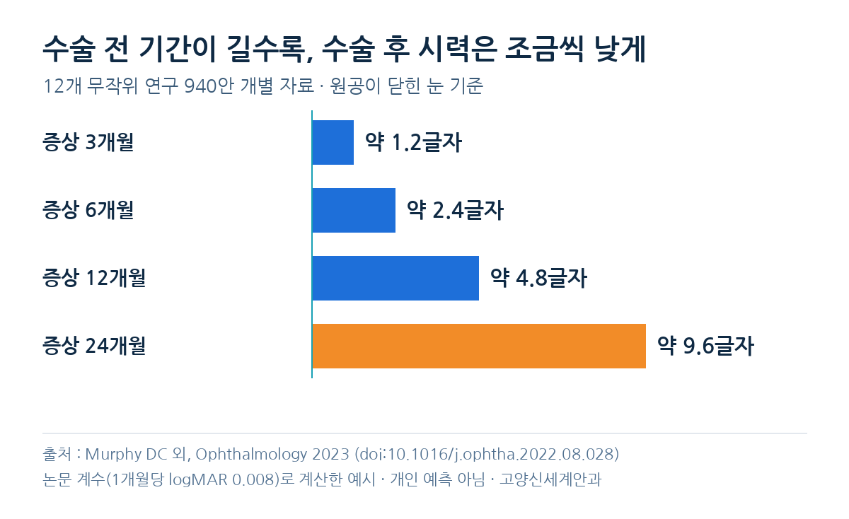Murphy 2023 연구의 계수(1개월당 logMAR 0.008)로 계산한 예시 그래프 : 증상 기간에 따라 수술 후 시력이 낮게 나오는 정도(시력표 글자 수). 개인 예측이 아닙니다.