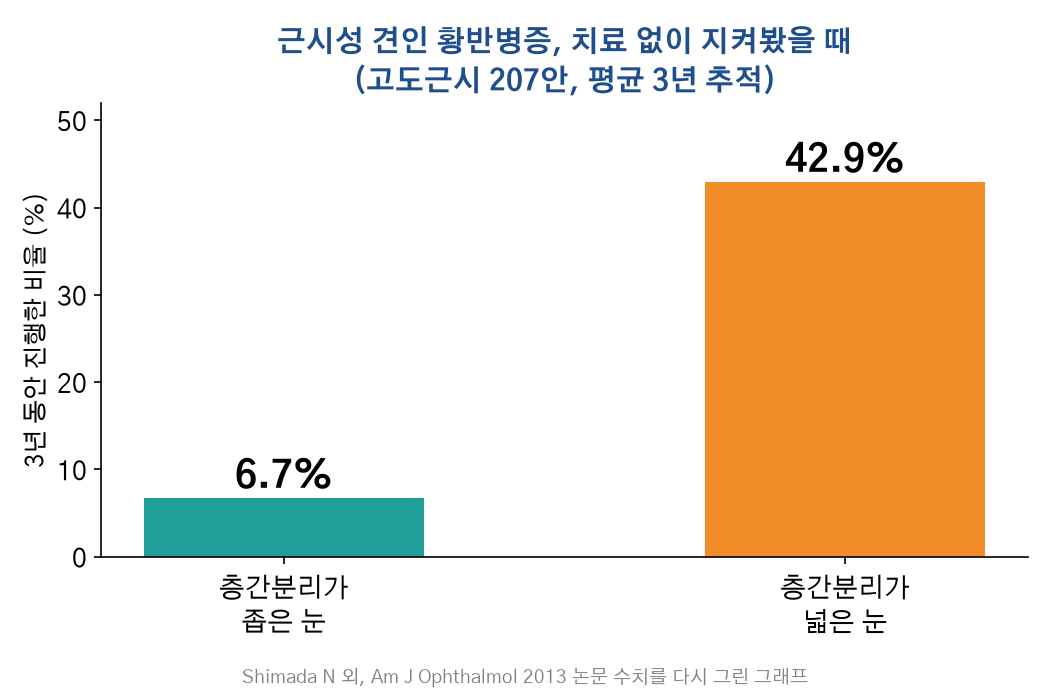 출처: Shimada N 외, Am J Ophthalmol 2013 · doi:10.1016/j.ajo.2013.06.031. 논문 수치를 다시 그린 그래프
