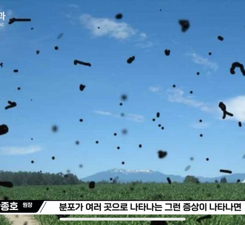 비문증 예시 — 갑자기 늘어난 날파리증이 시야에 보이는 모습 - 고양신세계안과
