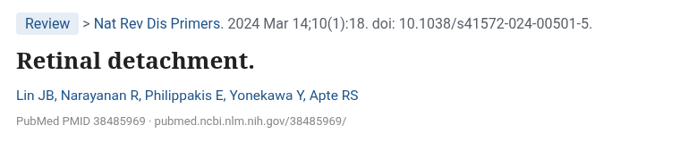 Lin 외 Nat Rev Dis Primers 2024 Retinal detachment 리뷰 논문 제목