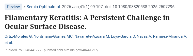 Ortiz-Morales 외 Semin Ophthalmol 2026 필라멘트 각막염 리뷰 논문 제목