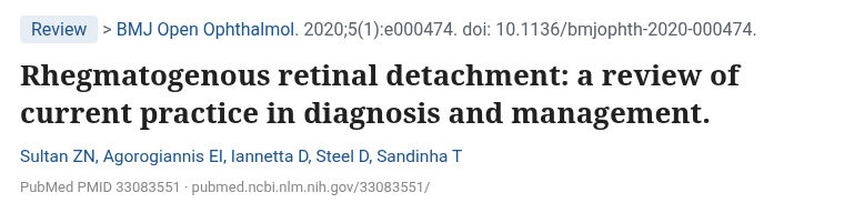 Sultan 외 BMJ Open Ophthalmol 2020 열공성 망막박리 진단과 치료 리뷰 논문 제목