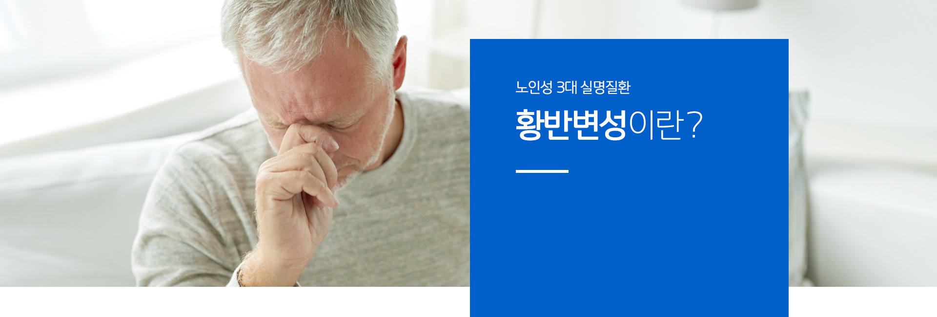 노인성 3대 실명질환, 황반변성