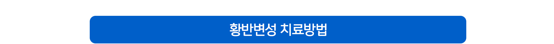 황반변성 치료방법