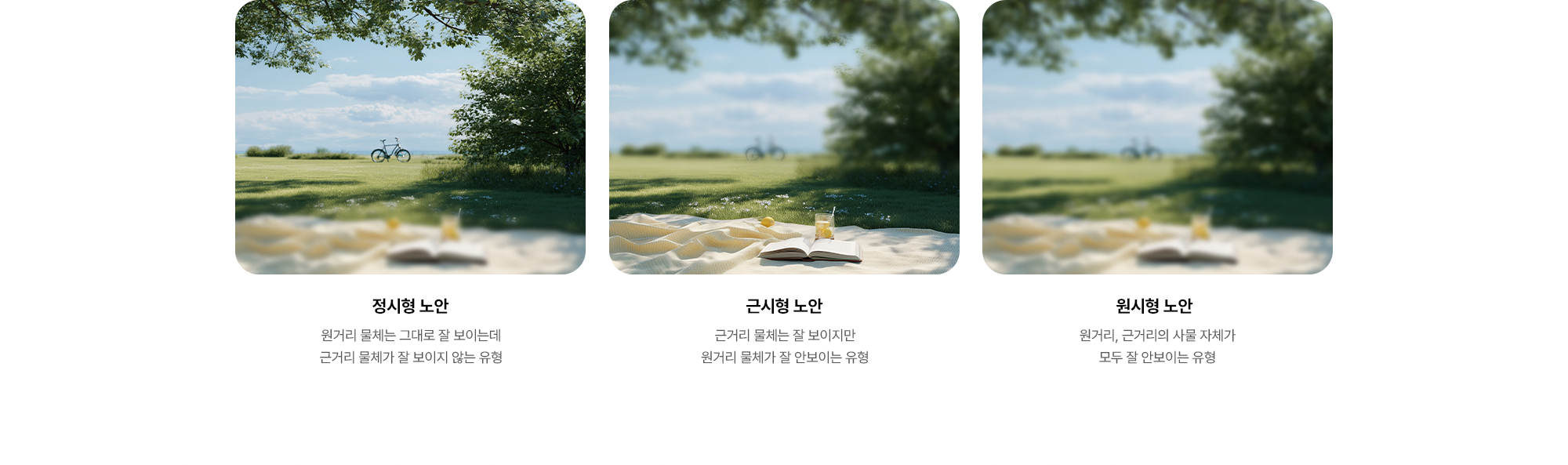 [노안 유형 종류] (1) 정시형 노안 (2) 근시형 노안 (3) 원시형 노안