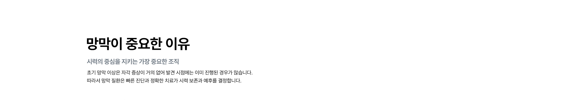 [망막이 중요한 이유 : 시력의 중심을 지키는 가장 중요한 조직]