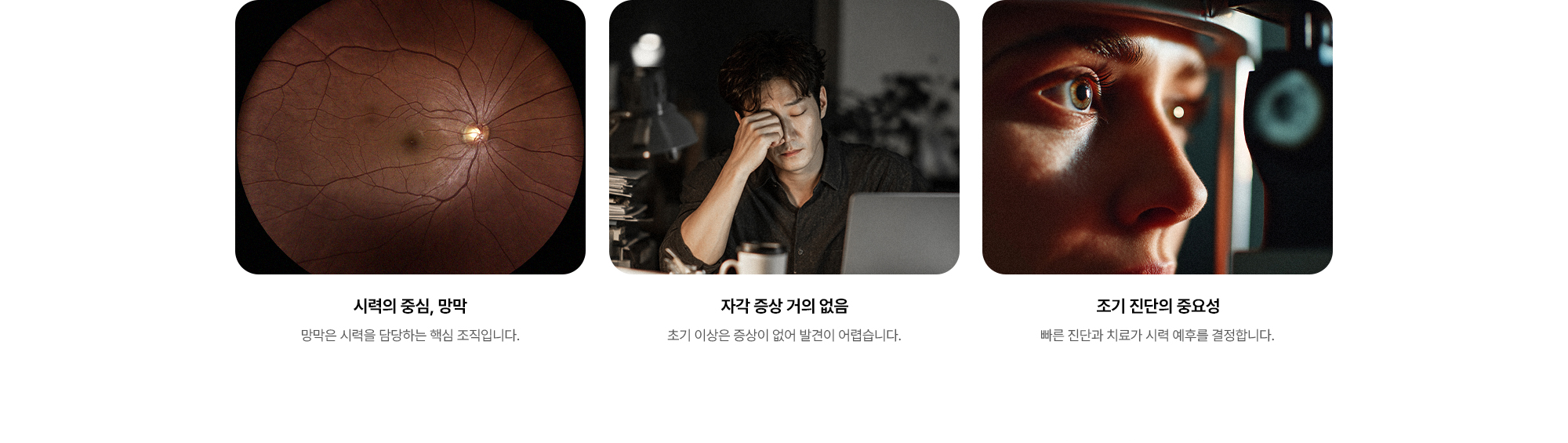 (1) 시력의 중심, 망막:망막은 시력을 담당하는 핵심 조직입니다. (2) 자각 증상 거의 없음:초기 이상은 증상이 없어 발견이 어렵습니다. (3) 조기 진단의 중요성:빠른 진단과 치료가 시력 예후를 결정합니다.