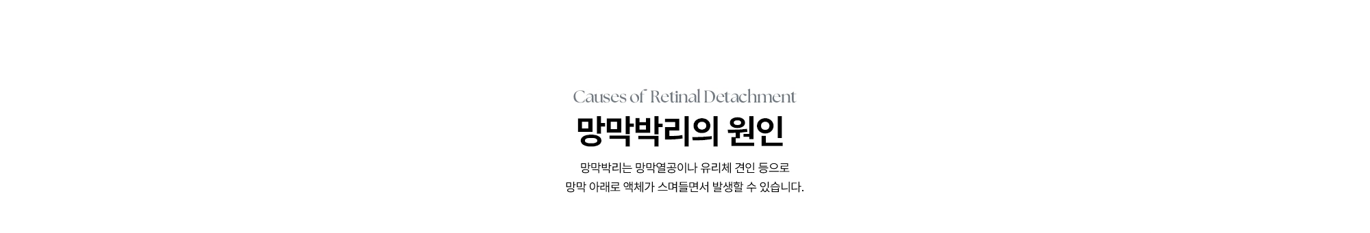 [망막박리의 원인] 망막박리는 망막열공이나 유리체 견인 등으로 망막 아래로 액체가 스며들면서 발생할 수 있습니다.