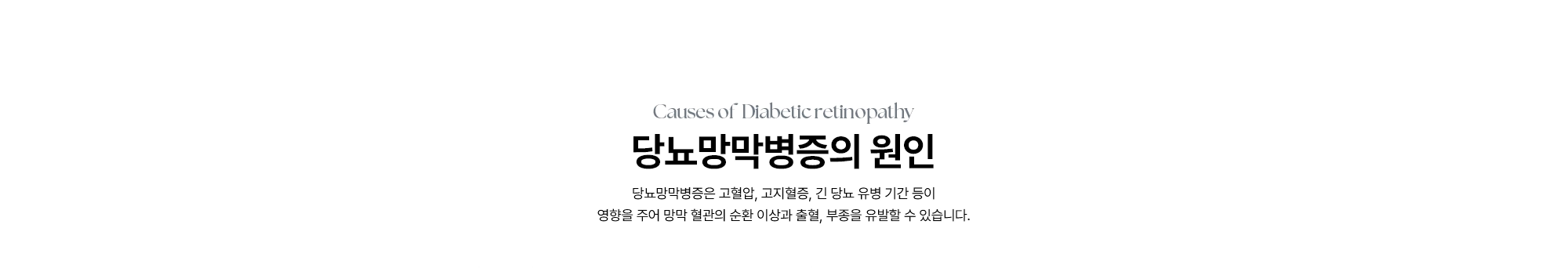 [당뇨망막병증의 원인] 당뇨망막병증은 고혈압, 고지혈증, 긴 당뇨 유병 기간 등이 영향을 주어 망막 혈관의 순환 이상과 출혈, 부종을 유발할 수 있습니다.