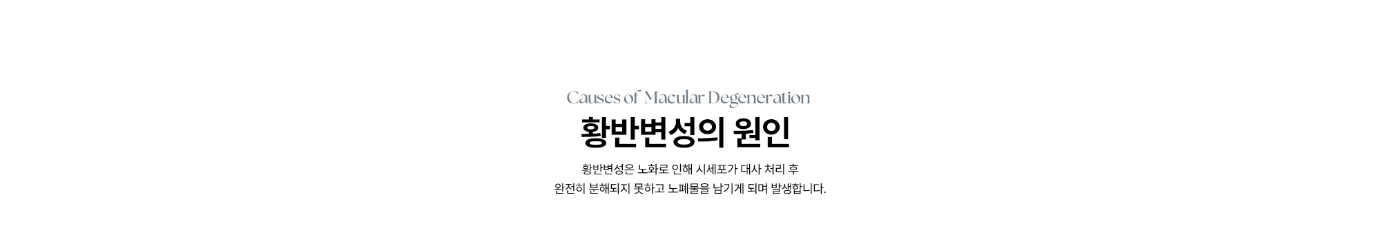 [황반변성의 원인] 망막박리는 망막열공이나 유리체 견인 등으로 망막 아래로 액체가 스며들면서 발생할 수 있습니다.