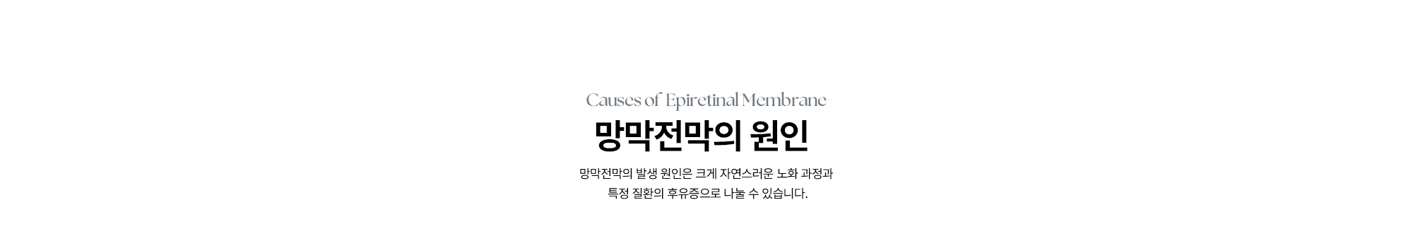[망막전막의 원인] 망막전막의 발생 원인은 크게 자연스러운 노화 과정과 특정 질환의 후유증으로 나눌 수 있습니다.