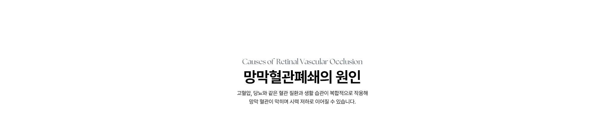 [망막혈관폐쇄의 원인] 고혈압, 당뇨와 같은 혈관 질환과 생활 습관이 복합적으로 작용해 망막 혈관이 막히며 시력 저하로 이어질 수 있습니다.